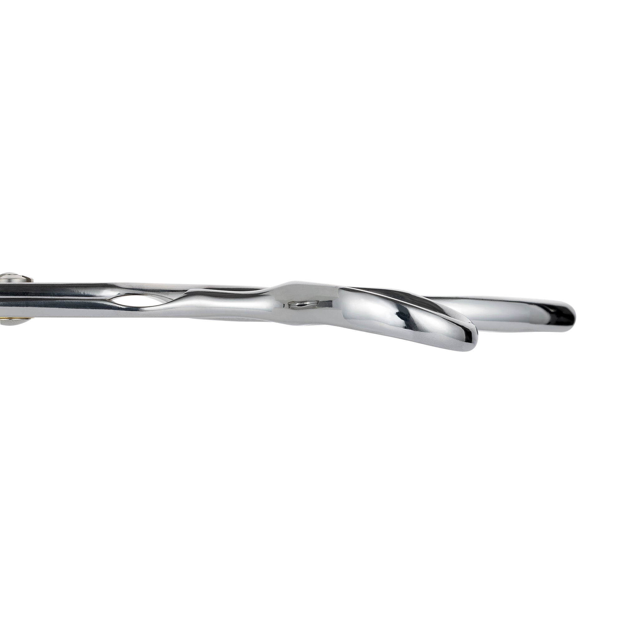 Matsui x 4B x O.P. Essential Cutting Scissor