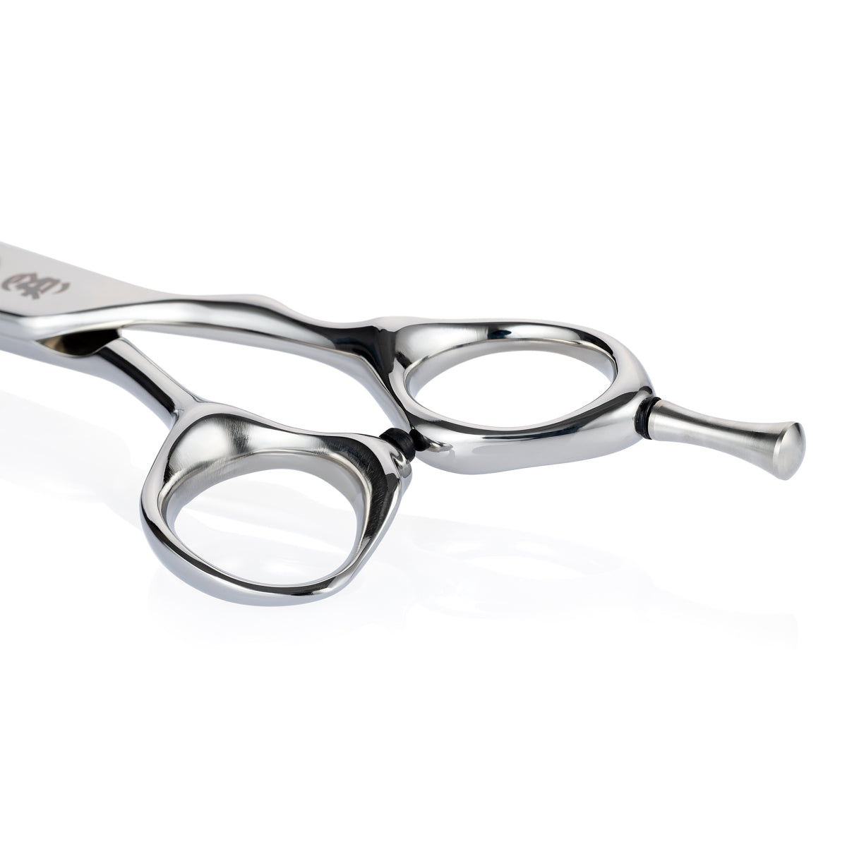 Matsui x 4B x O.P. Evolve Cutting Scissor