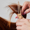 Matsui Rose Gold Hairdressing Shears Refresh (6757637292098)